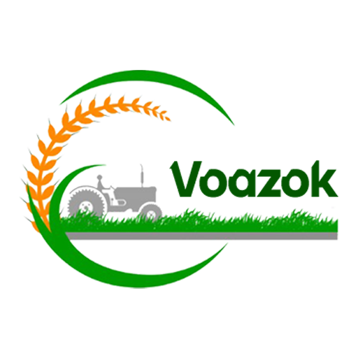 Voazok logo